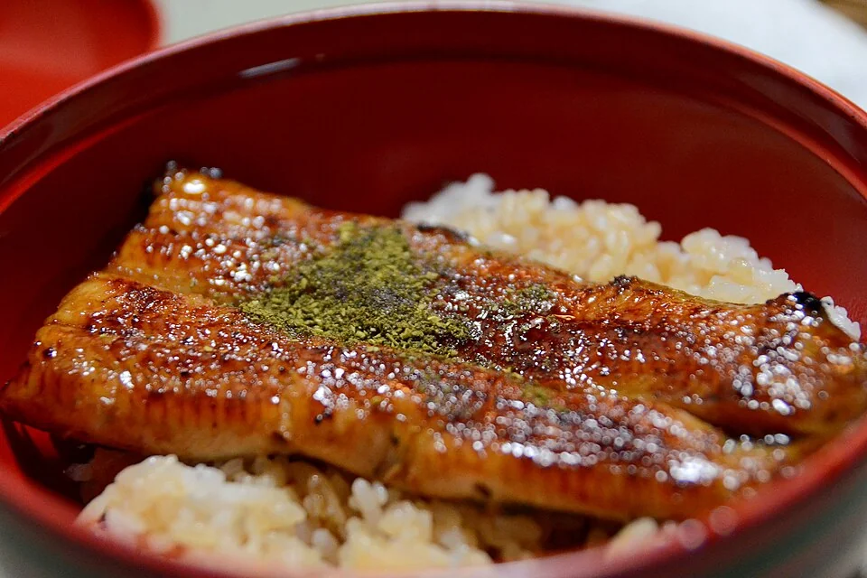 【2026年】館山・南房総でうなぎが食べられる店4選｜土用の丑の日(7月26日)に行きたい老舗・専門店